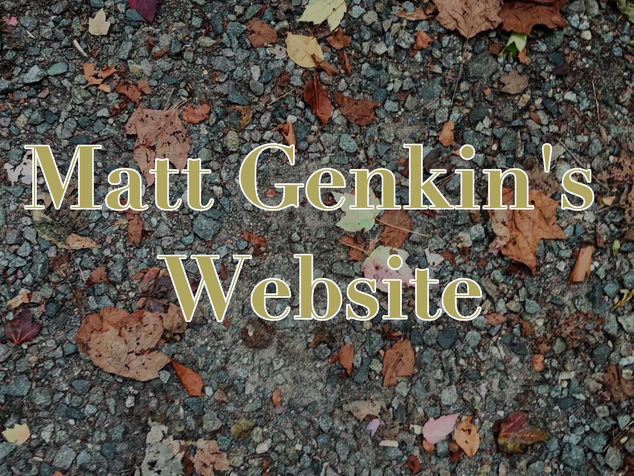 Matt Genkin's Website